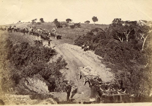 Original Photograph of a British Column Crossing The iNyoni River (Eshowe Sector) During The Anglo-Zulu War