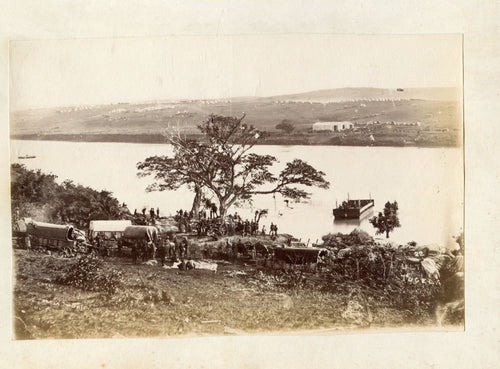 Original Victorian Photograph - Ultimatum Tree and British Troops Crossing by Pont into Zululand at the Lower Thukela Drift