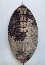 Original 1879 Zulu Regimental War-Shield, Isihlangu: uKhandempemvu (uMcijo) Regiment