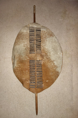 Large Early 20th Century Swazi or Zulu Shield