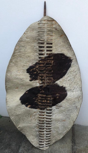 MAGNIFICENT ORIGINAL 1879 REGIMENTAL ZULU WAR SHIELD, ISIHLANGU - 53 x 29 ins