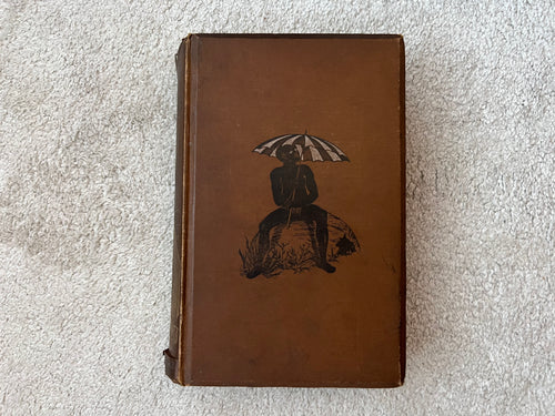 In The Land of Misfortune, by Lady Florence Dixie, First Edition (1882)