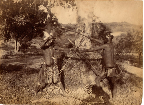 Intriguing c. 1880s Photograph - Zulu Men Stick Fighting