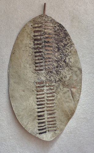 NICE 19th CENTURY ZULU WAR-SHIELD, IHAWU